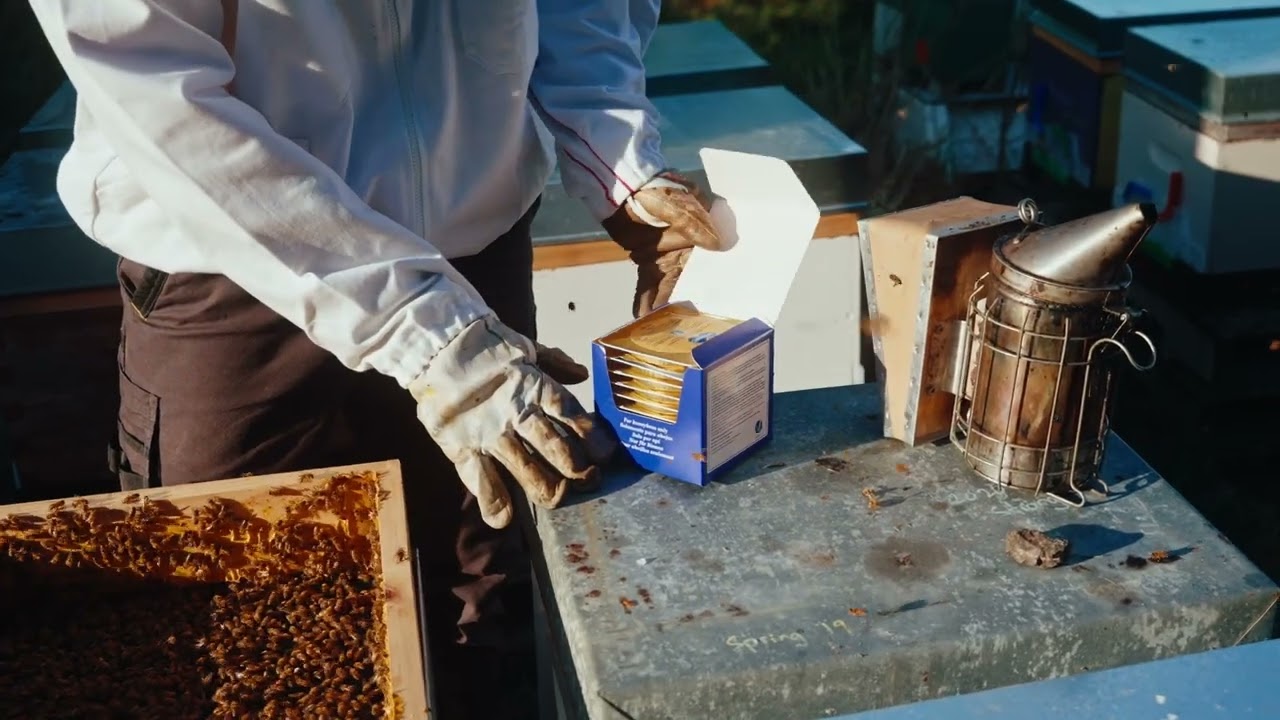 How to Use Apiguard – Easy, Effective Varroa Control
