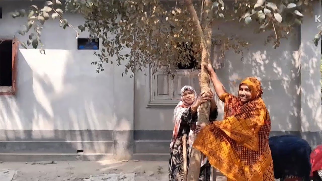 বড়ই পারতে গিয়ে সবার ঝগড়া লেগে গেল#Papiya Lifestyle