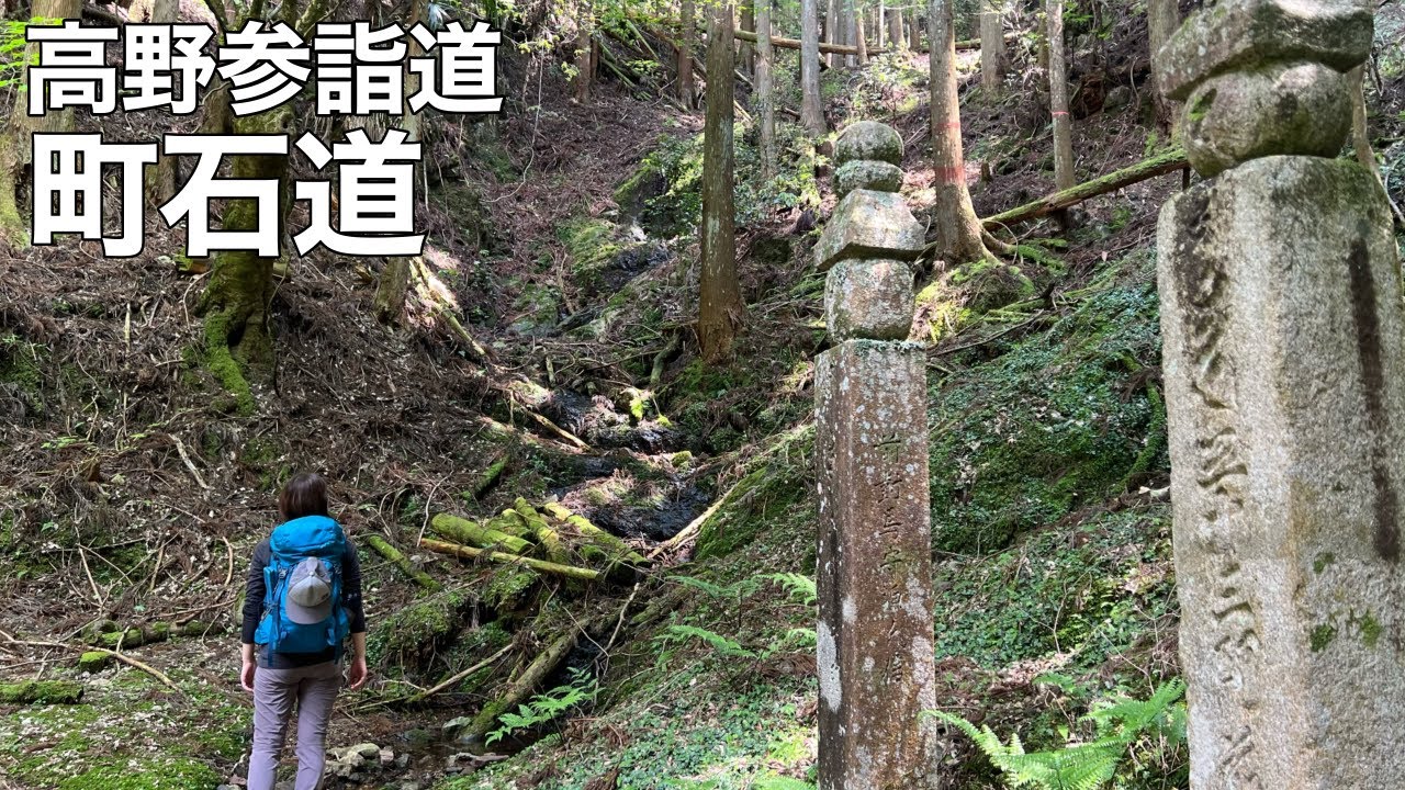 【夫婦登山】高野山へ続く参詣道・町石道〜ほぼ復旧した道のりを再び歩きます【公共交通機関登山】