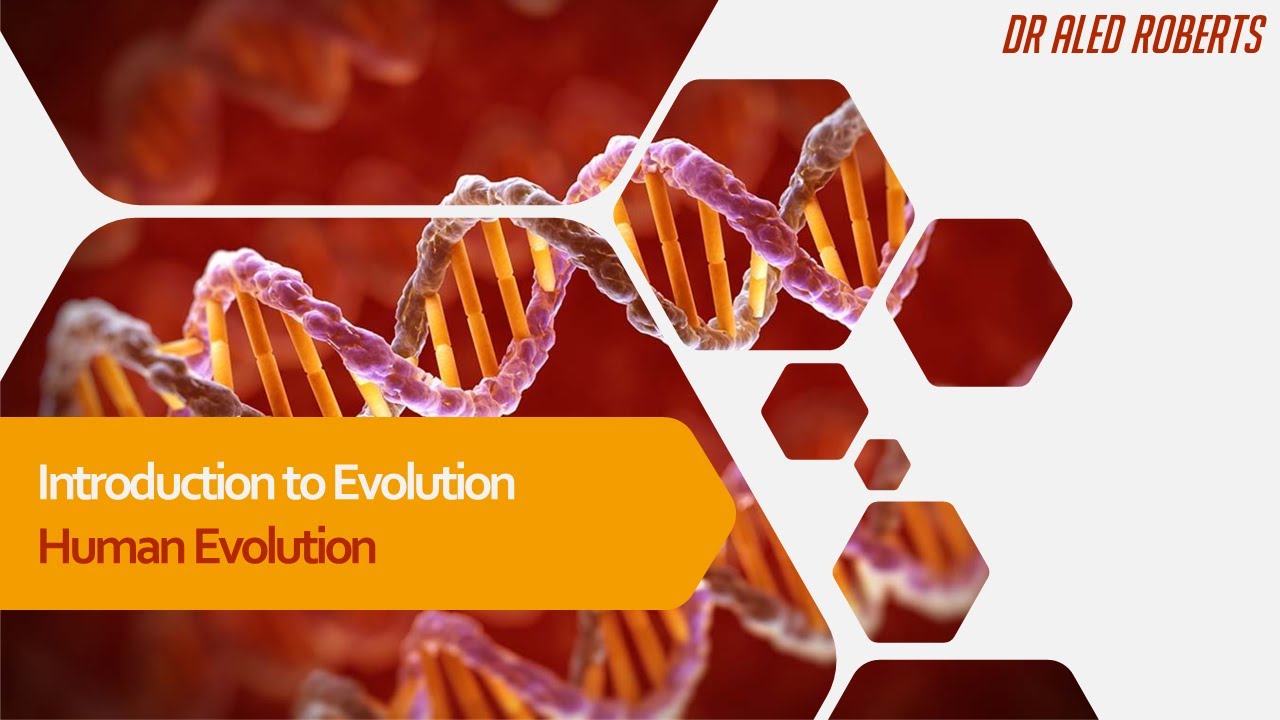 Human Evolution