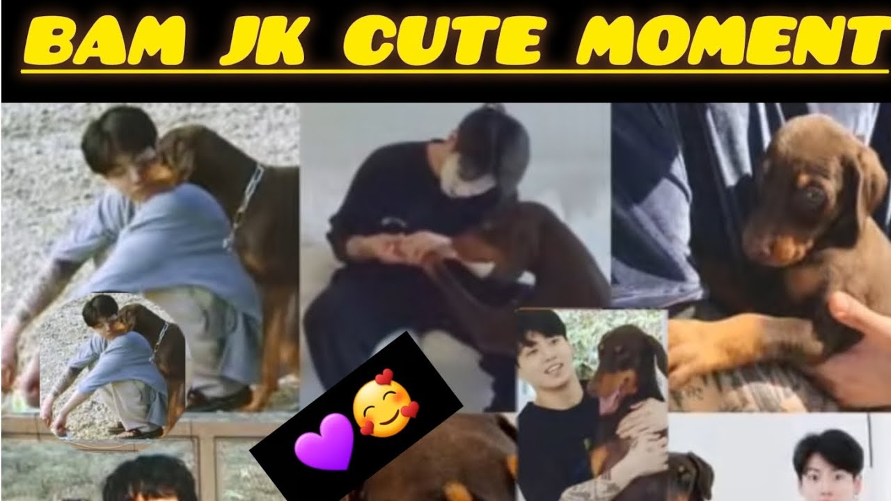 Bts jk jeon bam 🥰cute moment jeonjubgkook with bam btamamber