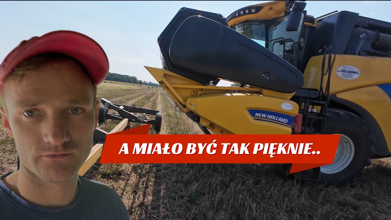A MIAŁO BYĆ TAK PIĘKNIE, ŻNIWA 2024