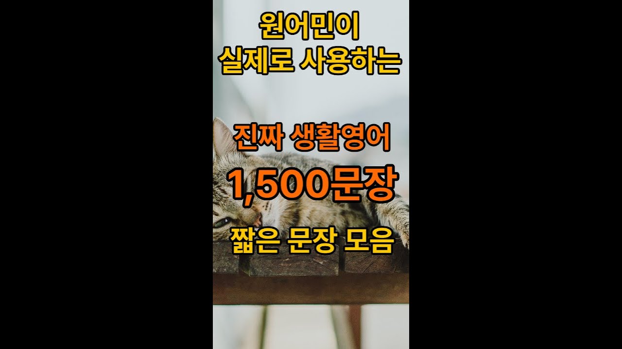 매일 업데이트하는,원어민들이 자주 사용하는 일상 생활영어 1,500문장. 한글 발음표기, #초보영어 #영어회화 #시니어영어