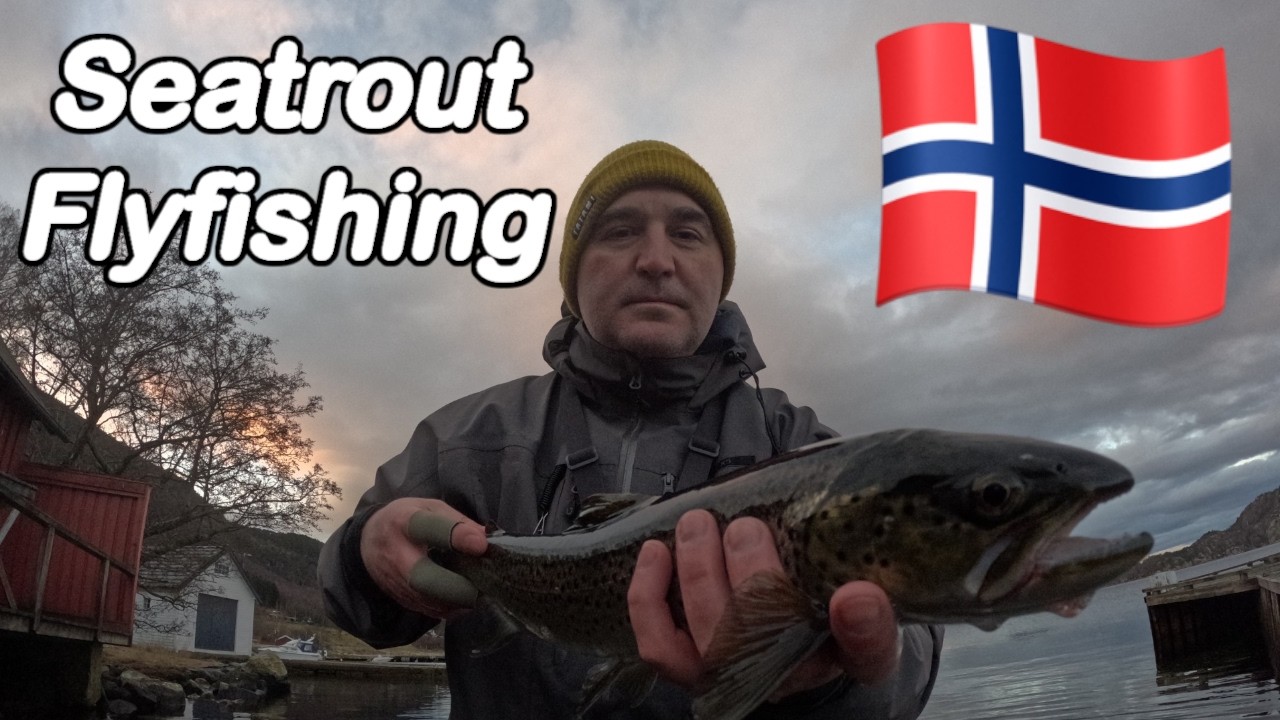 Chasing Sea Trout in Norway | November Trophy Catches