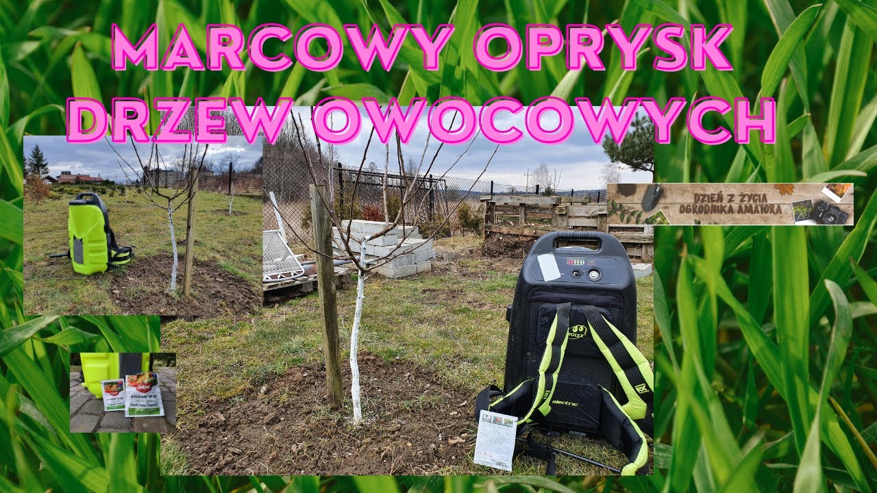 Marcowy oprysk drzew owocowych
