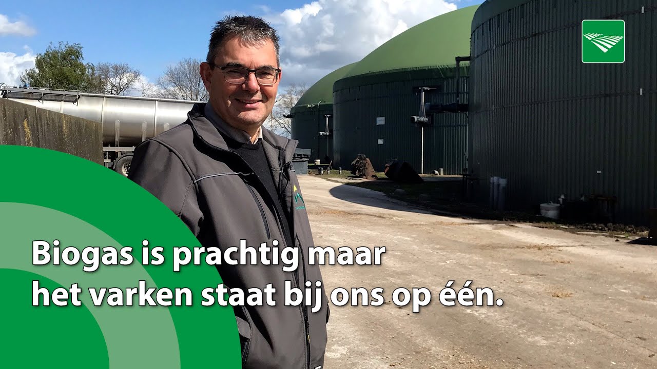 Martin Houben: 'Biogas staat ten dienste van het varken'