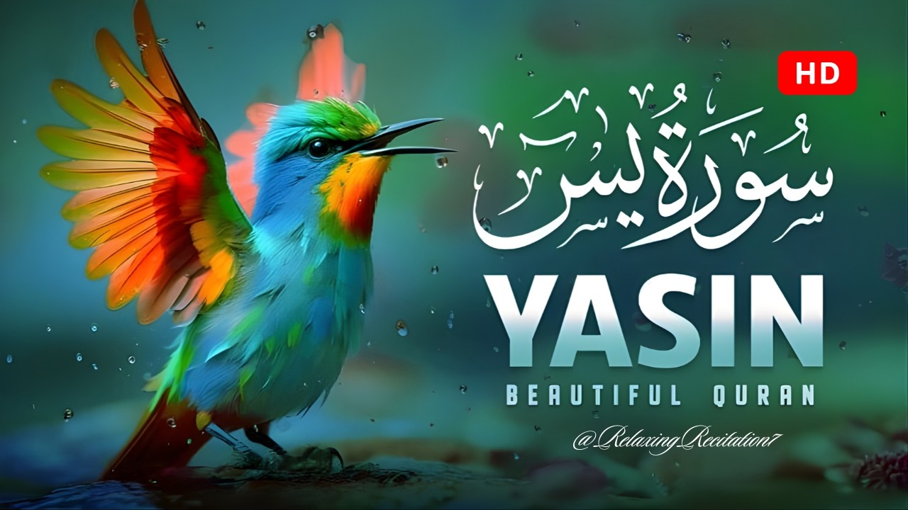 Surah Yasin (Yaseen) سورة يس | Heart Touching Beautiful Recitation | RelaxingRecitation7