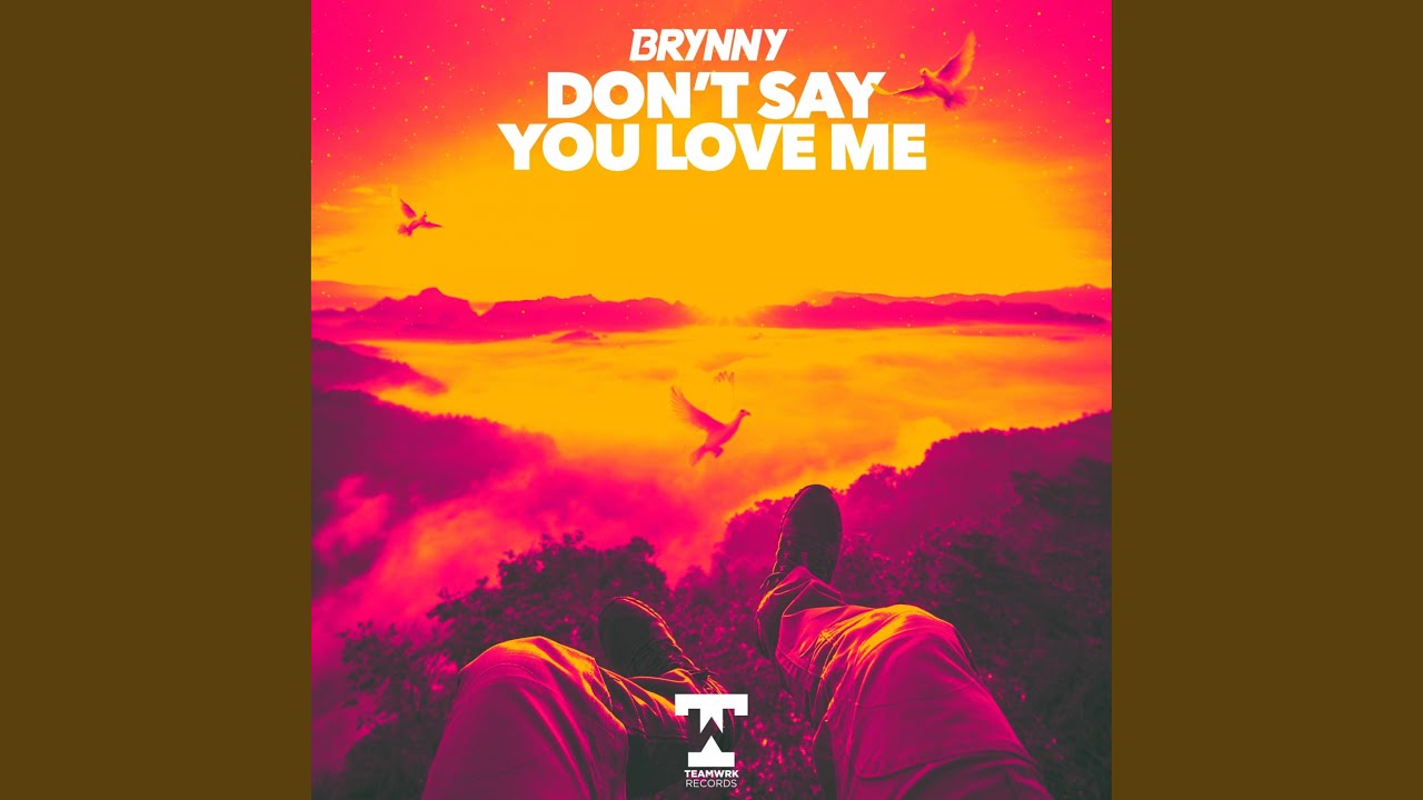 Don't Say You Love Me