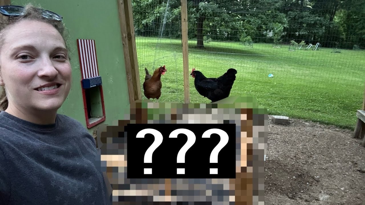 DIY Chicken Coop Addition! Coop Deck-Part 1