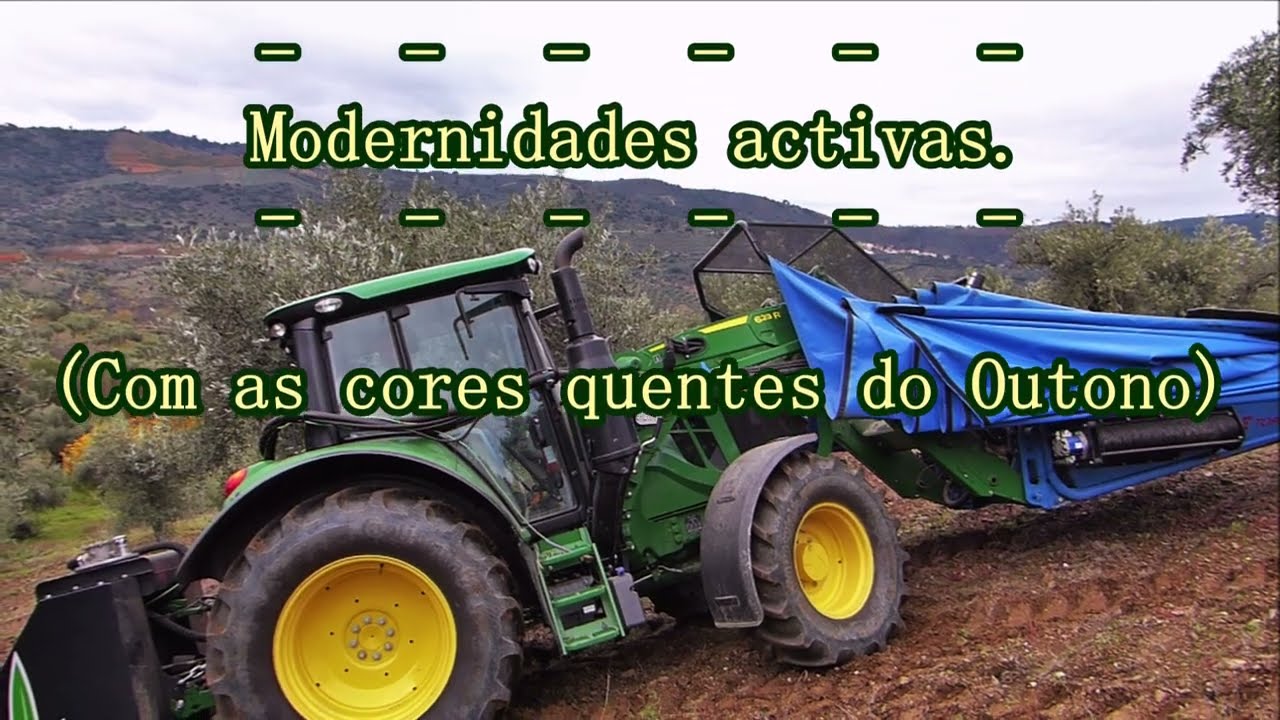 'Azeitonar' na Vilariça`2023  &  Modernidades que vieram para ficar. @carlosnovais4340