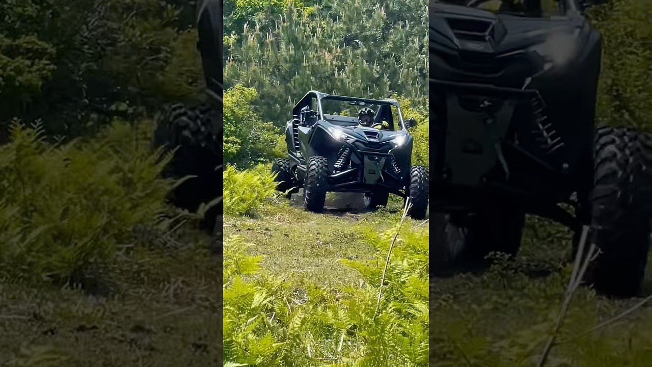 Introducing the latest item from BM-Land, the Z10 