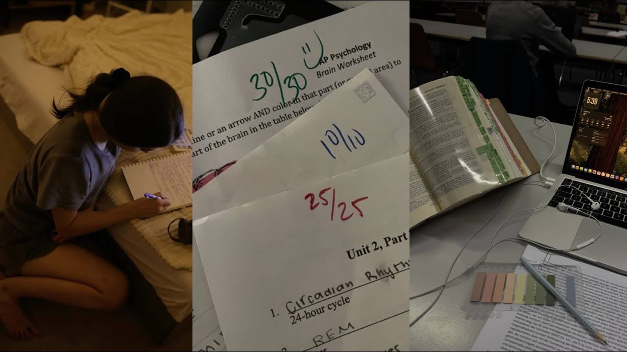 Study motivation / Tiktok compliation ❗🎓📚