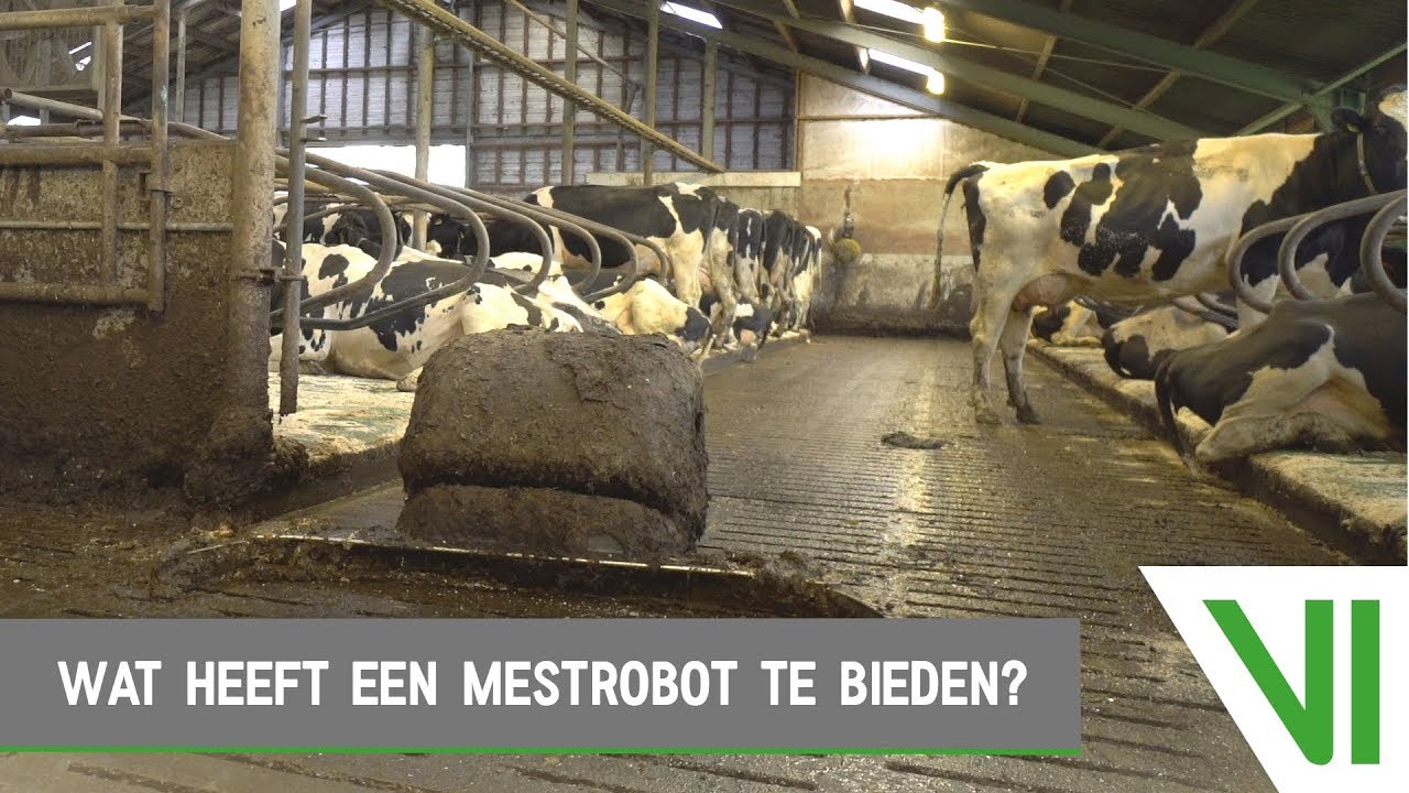Wat heeft een MESTROBOT te bieden? | Melkveehouder Jelle Vink