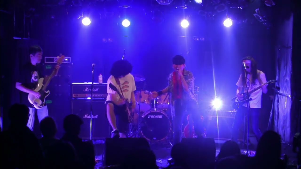 「ビジュアル・トロピカル」にんじん奉行（demo, 2025）
