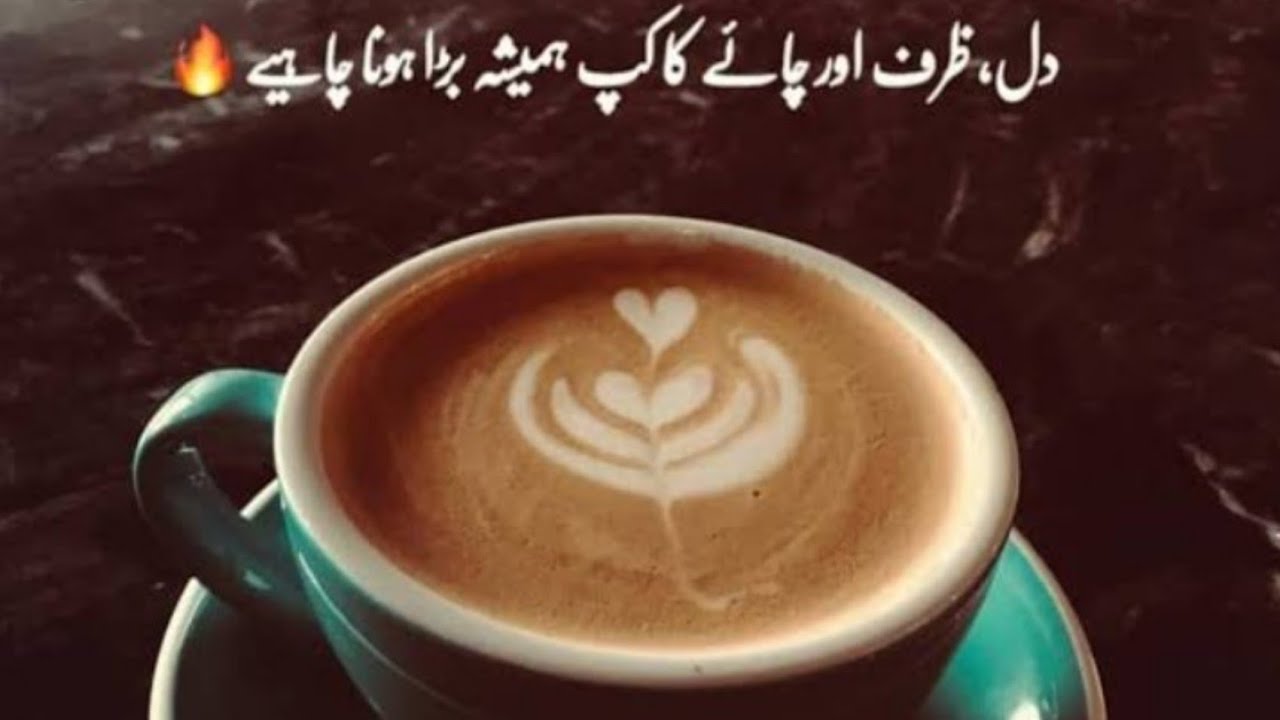 Tea Poetry In Urdu | Tea Lovers Status | Sad deep poetry | Chai Wali Poetry | Chai Status | ☕☕😍