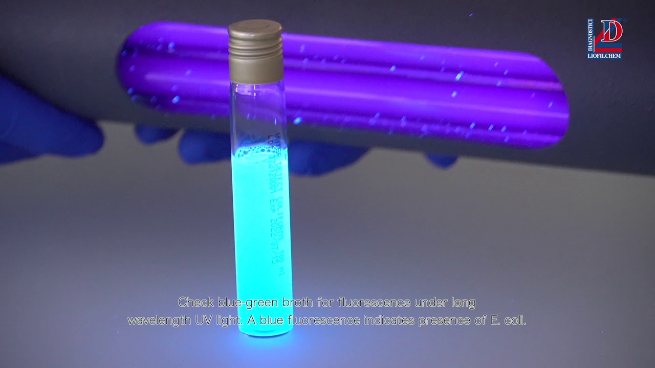 Water Detect Coliforms