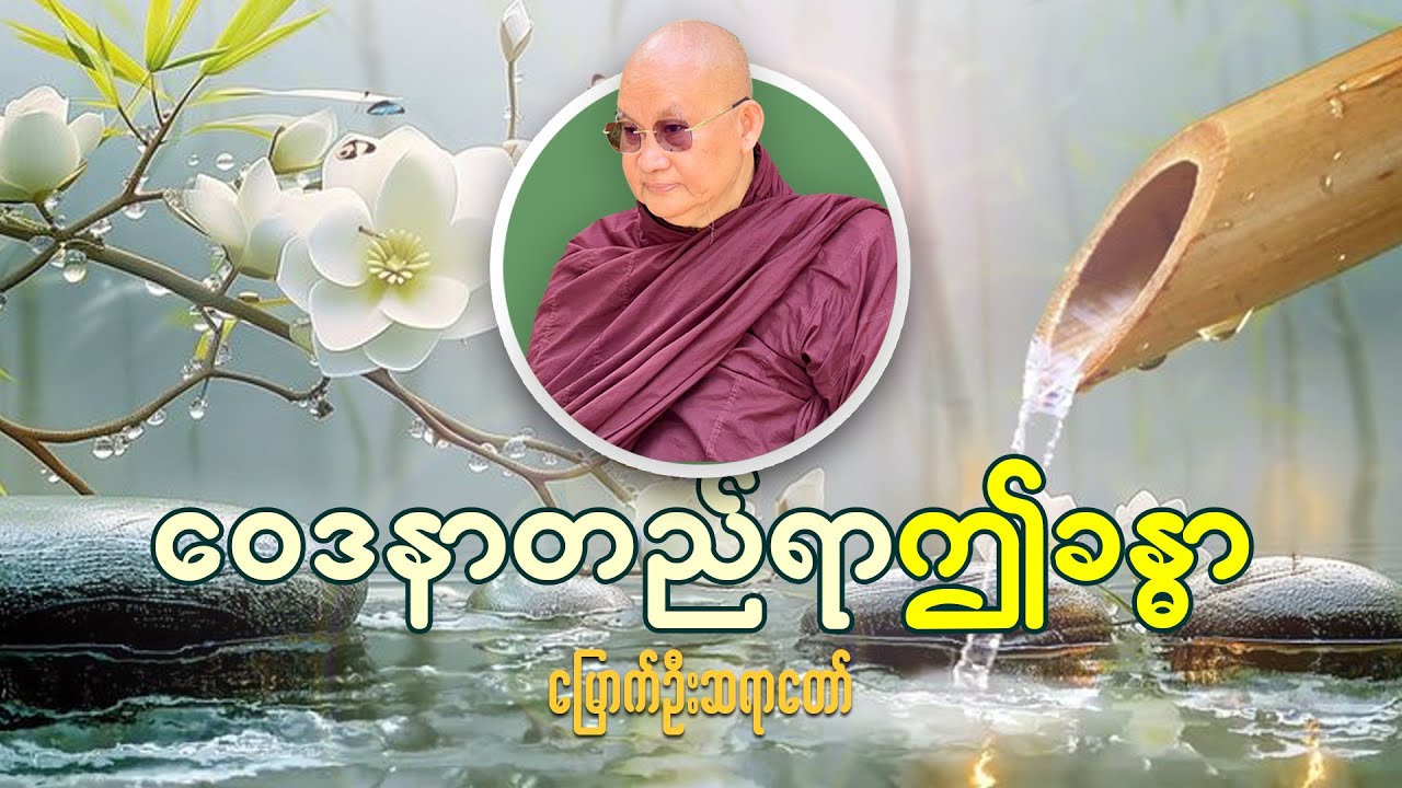 ဝေဒနာမျိုးစုံဖြစ်နေတဲ့ “ခန္ဓာကိုယ်ကြီး”ကို တရားရှုပါ   မြောက်ဦးဆရာတော်