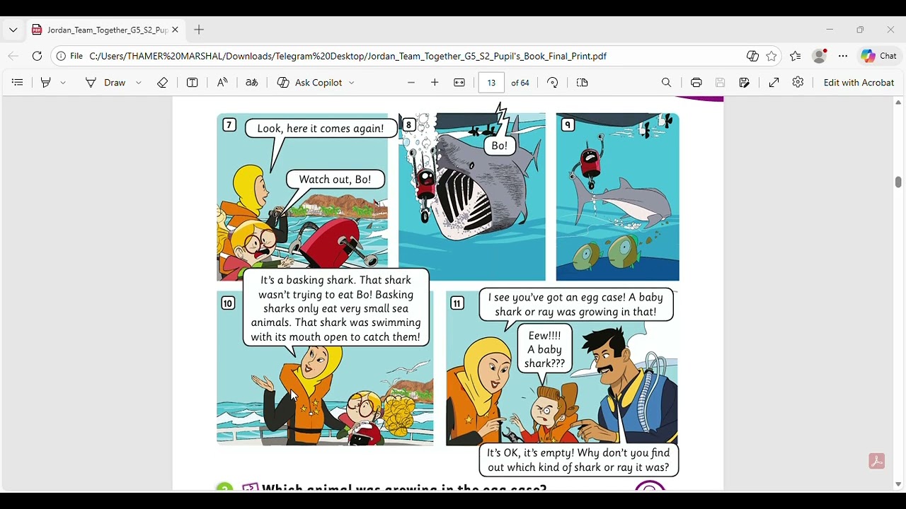 Story ( Shark adventure )