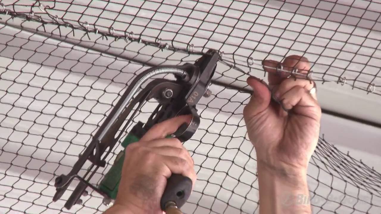 How to Install Heavy Duty Bird Netting [A Step-by-Step Tutorial] Professional Bird Net Installation