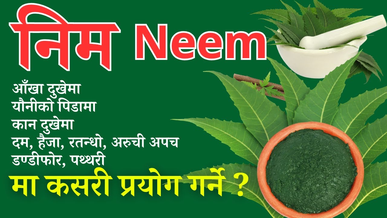 How to use neem in which disease. How to use neem in which disease.
