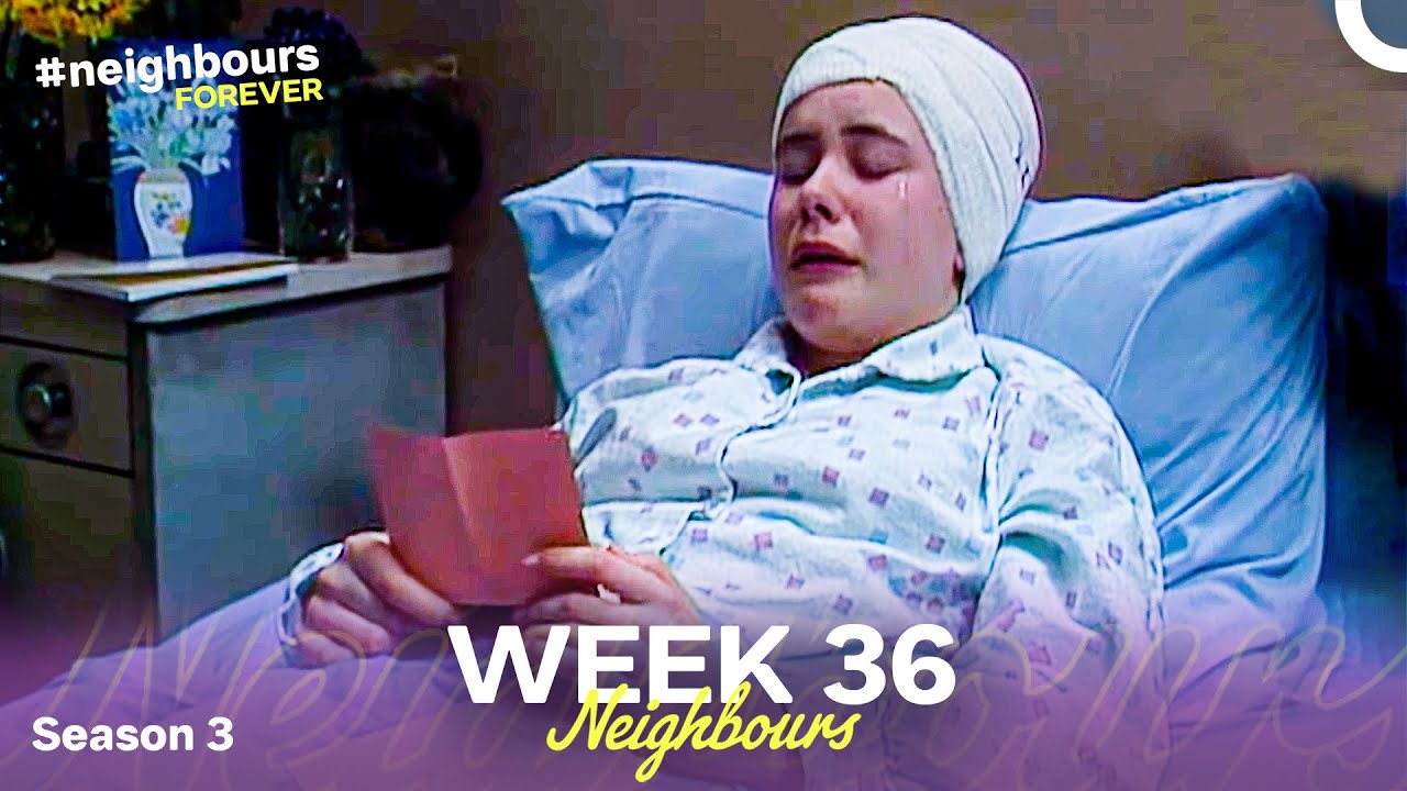Week 36 | Episodes 576-580 | Neighbours 1987 (Season 3)