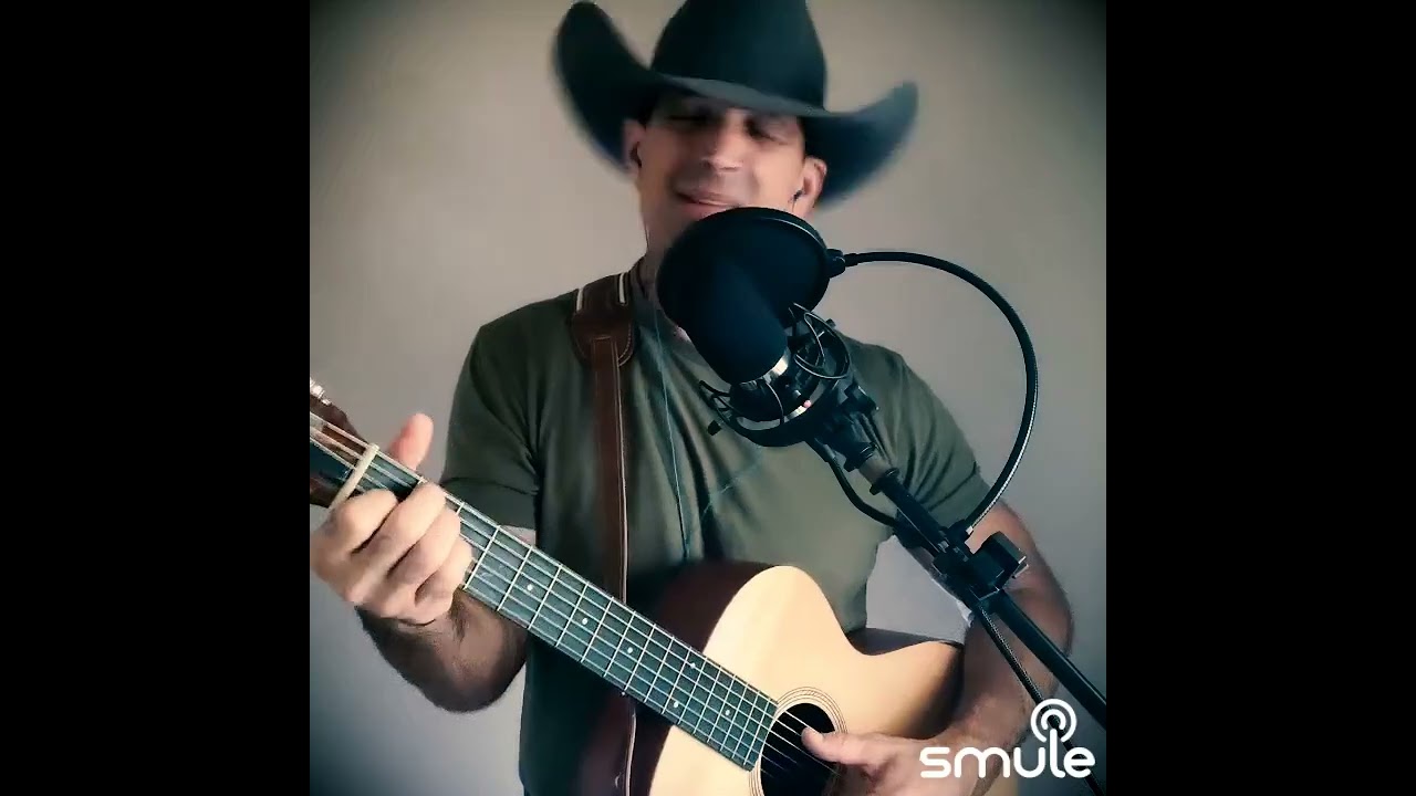 Life's Ups and Downs - Ricky Van Shelton cover