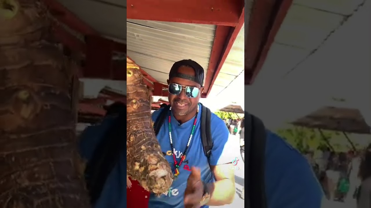 Suriname 🇸🇷 street food and market #backyardcafeguyana the BackyardCafe travel show #suriname