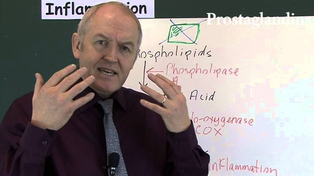 Inflammatory Mediators