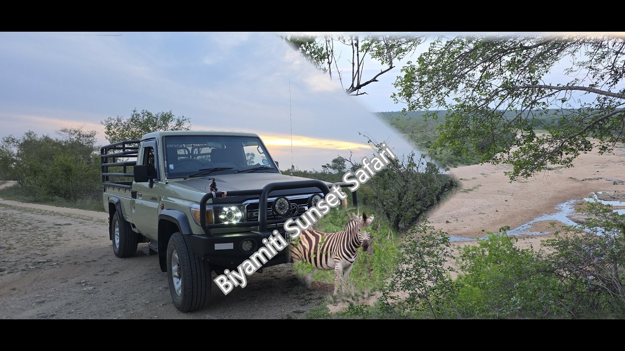 Biyamiti Sunset Game Drive