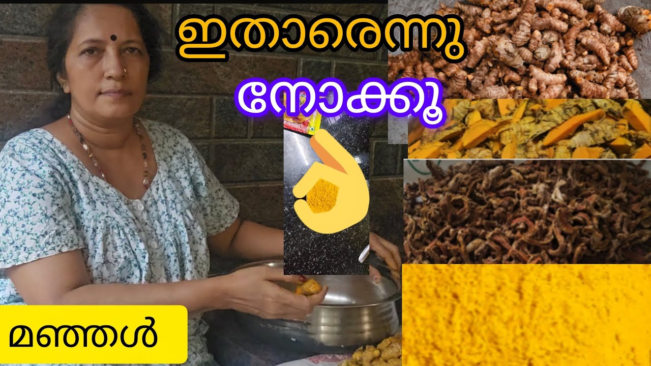 🥰🥰ഇവൾ ആള് പുലി തന്നെ... 🙏🏻👍🏻#shortsvideo #viralvideo #turmeric #cutivation #@alakananda23