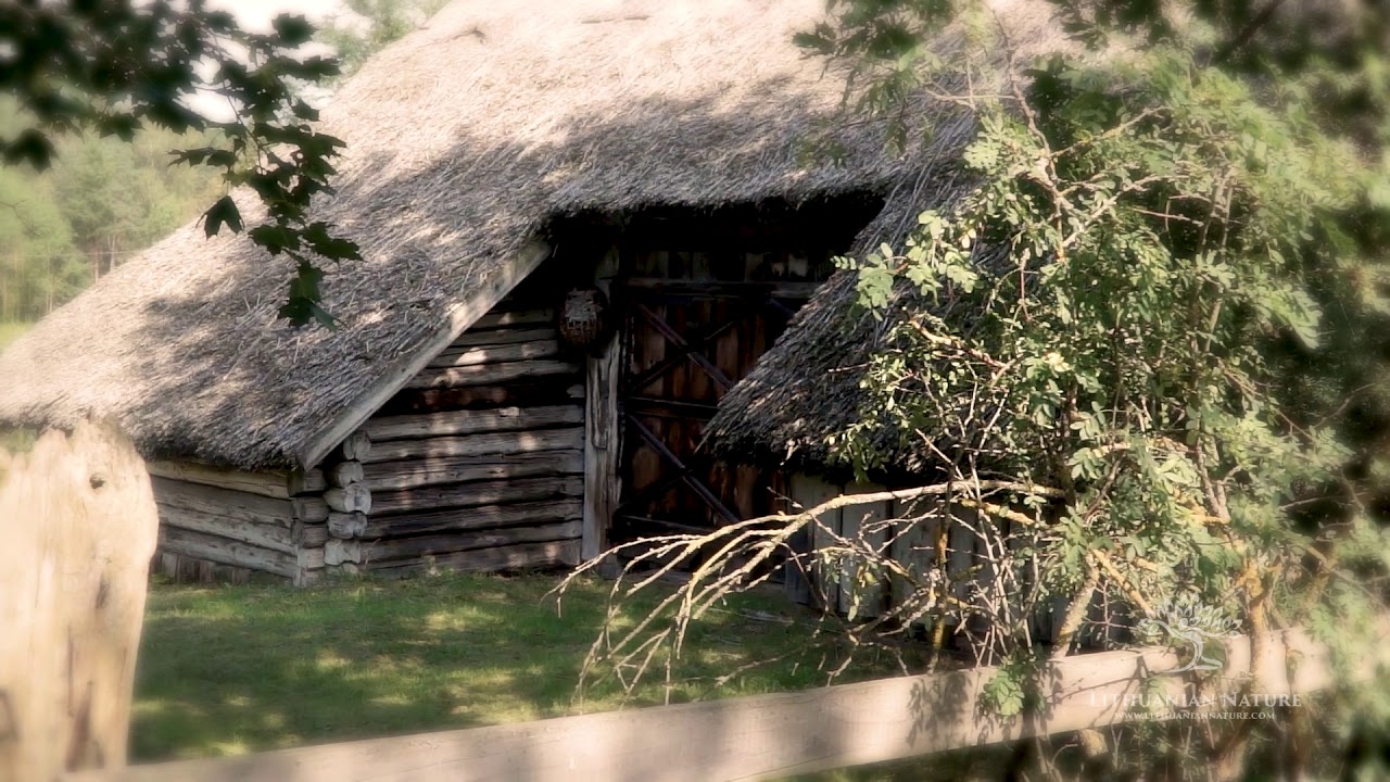 Zervynų kaimo gyvenvietė