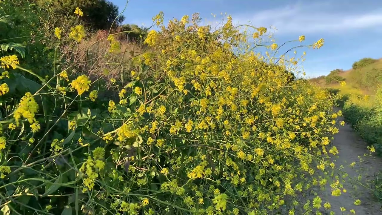 Ascot Hills Park in the El Sereno neighborhood. February 23, 2026