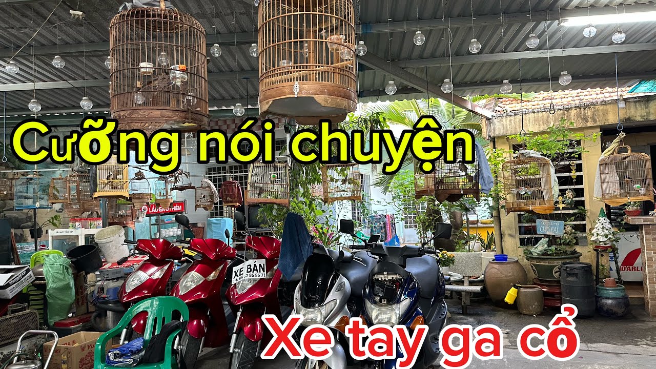 Ông anh 7X mê chim và các loại xe tay ga xưa tại Gò Vấp