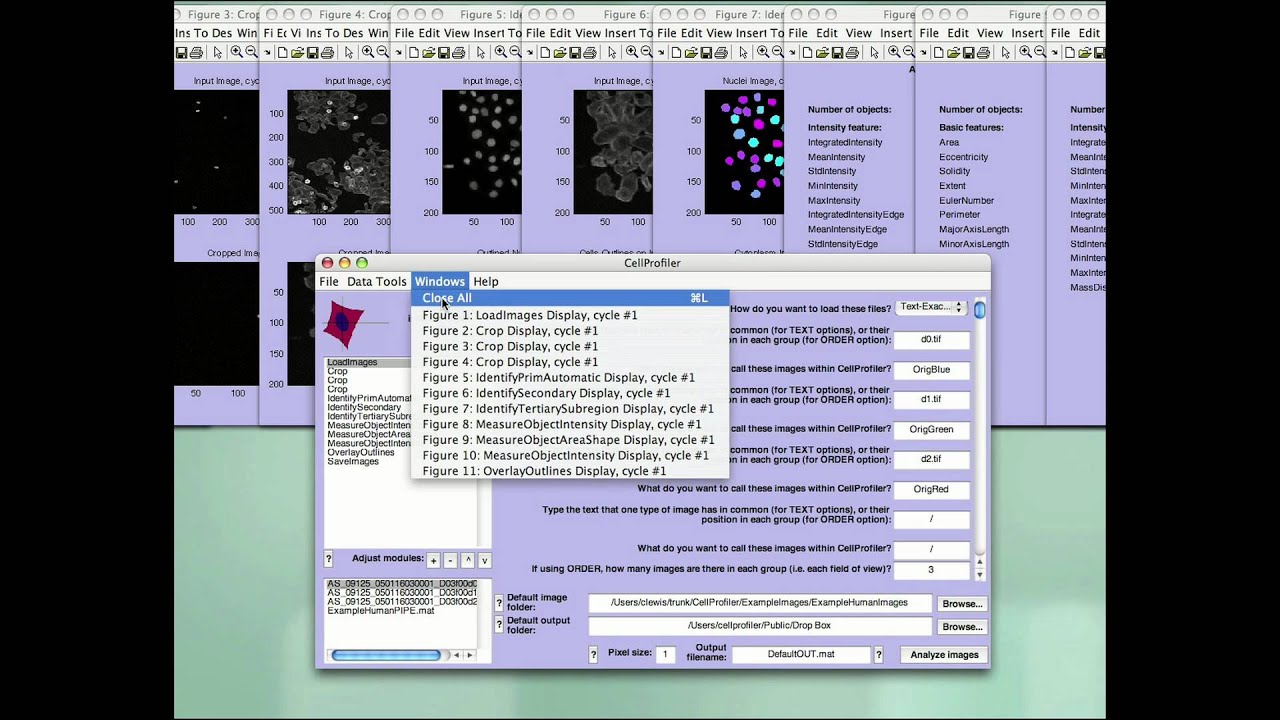 CellProfiler: Constructing pipelines