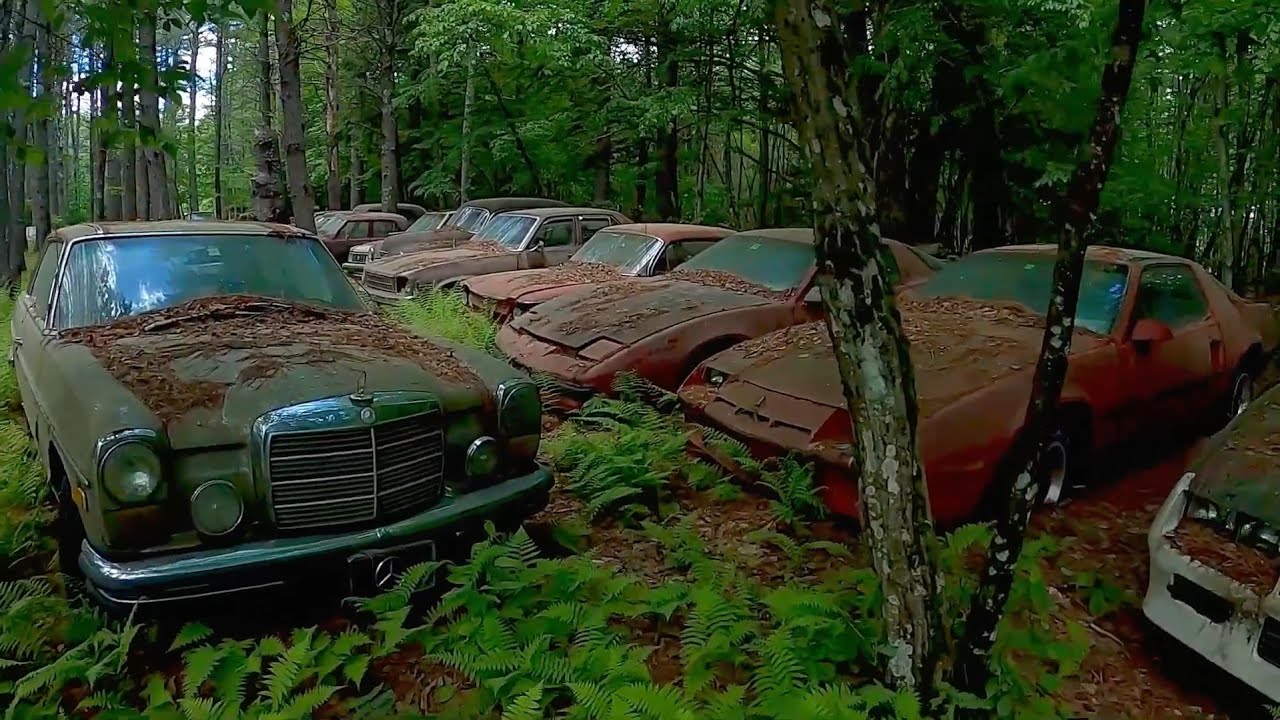 500+ Ghost Abandoned Cars In Woods | They Are Frozen in Time.