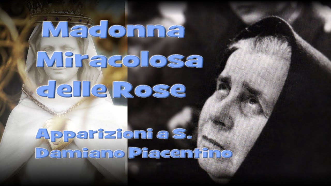 La Madonna Miracolosa delle Rose  - Apparizioni a S  Damiano Piacentino