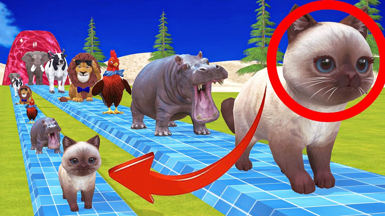 Long Slide Game With Elephant Gorilla Buffalo Hippopotamus Tiger 3d Animal Game Funny 3d Animals