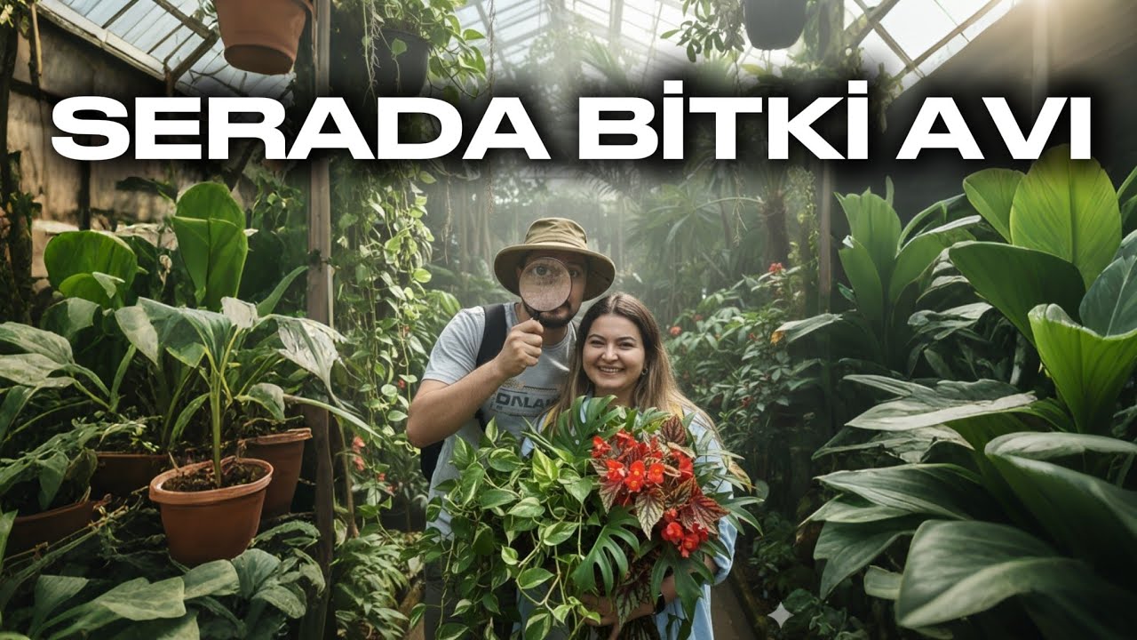 Serada Bitki Avı 🌿 | Bitki Alışverişi, Sera Gezisi ve Sağlıklı Bitki Seçme İpuçları
