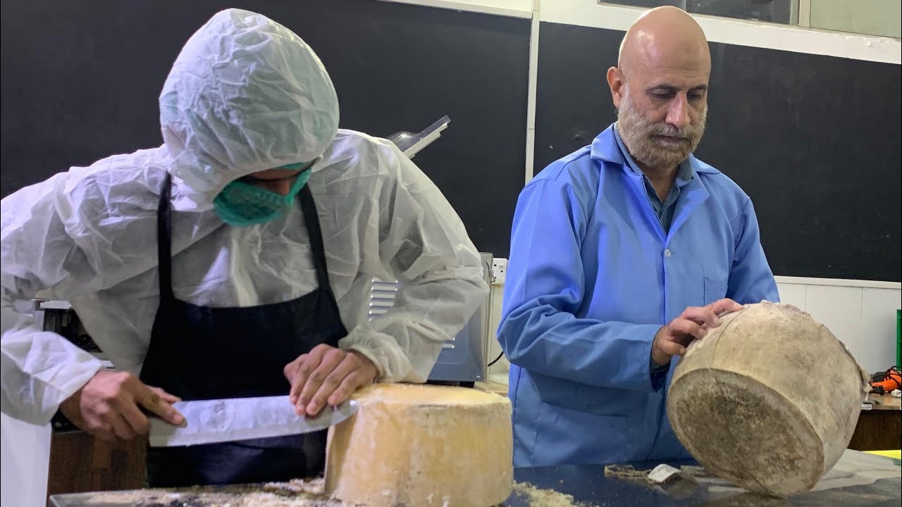 Farmers Cheese Making — A Journey of Purity, Passion & Purpose