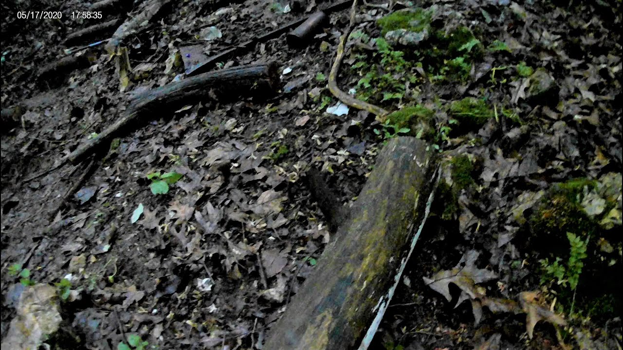 23) Forest Trail - How to Build Rustic Log Steps, Using the imperfections, Part 4