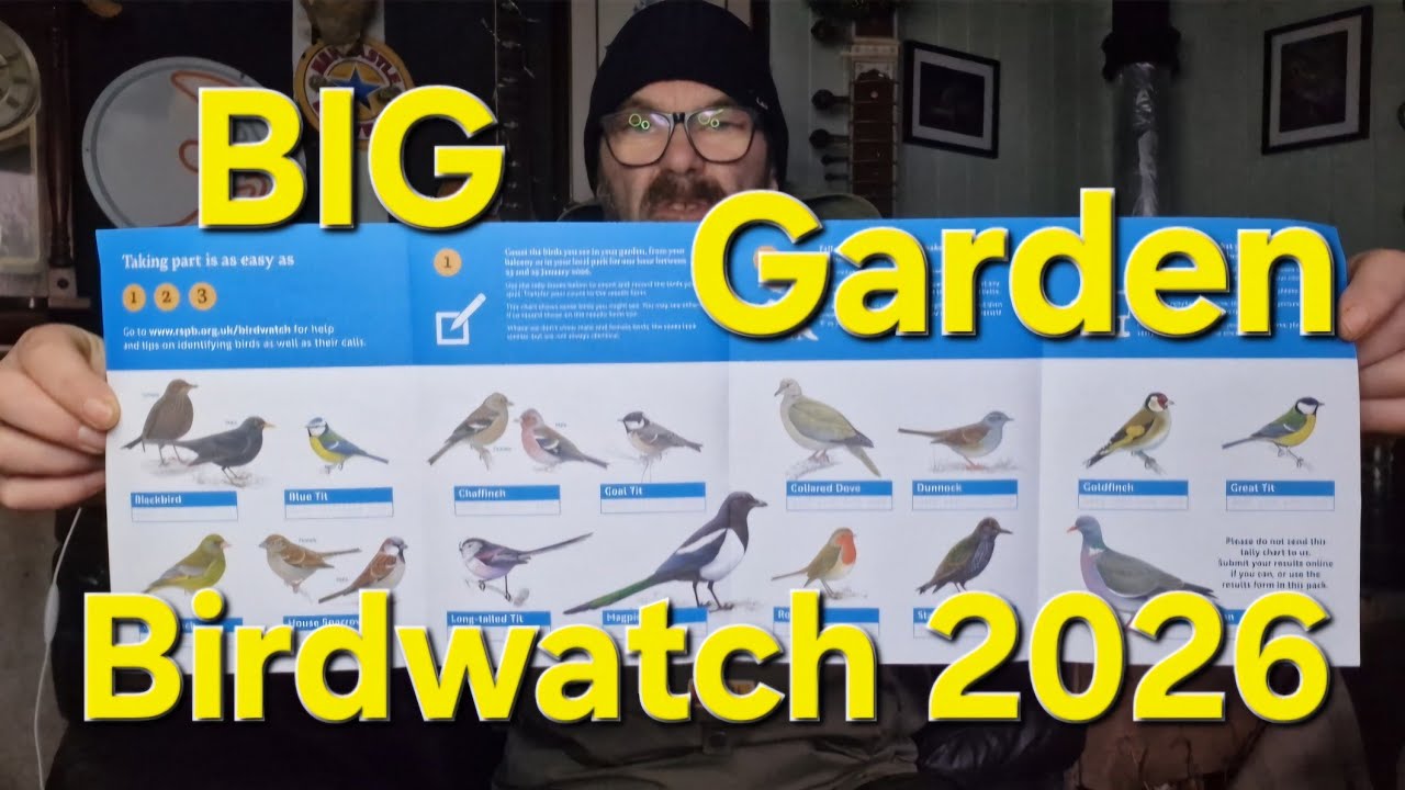 RSBP BIG Garden Birdwatch 2026 | Dave's Allotment Garden and Ting