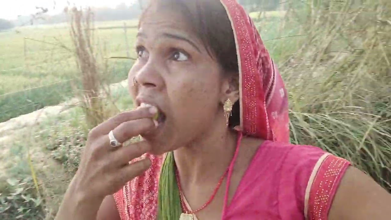 #song बेर खाने #आए हैं #दोस्तों सही न#दी के #ऊपर🫒🫒🫒🙏🙏🥰🥰