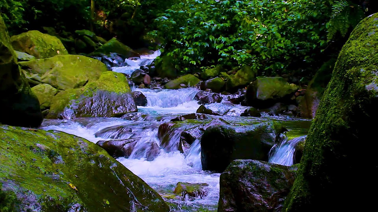 Mountain River Flow Sounds for Long Focus Sessions and Mental Clarity