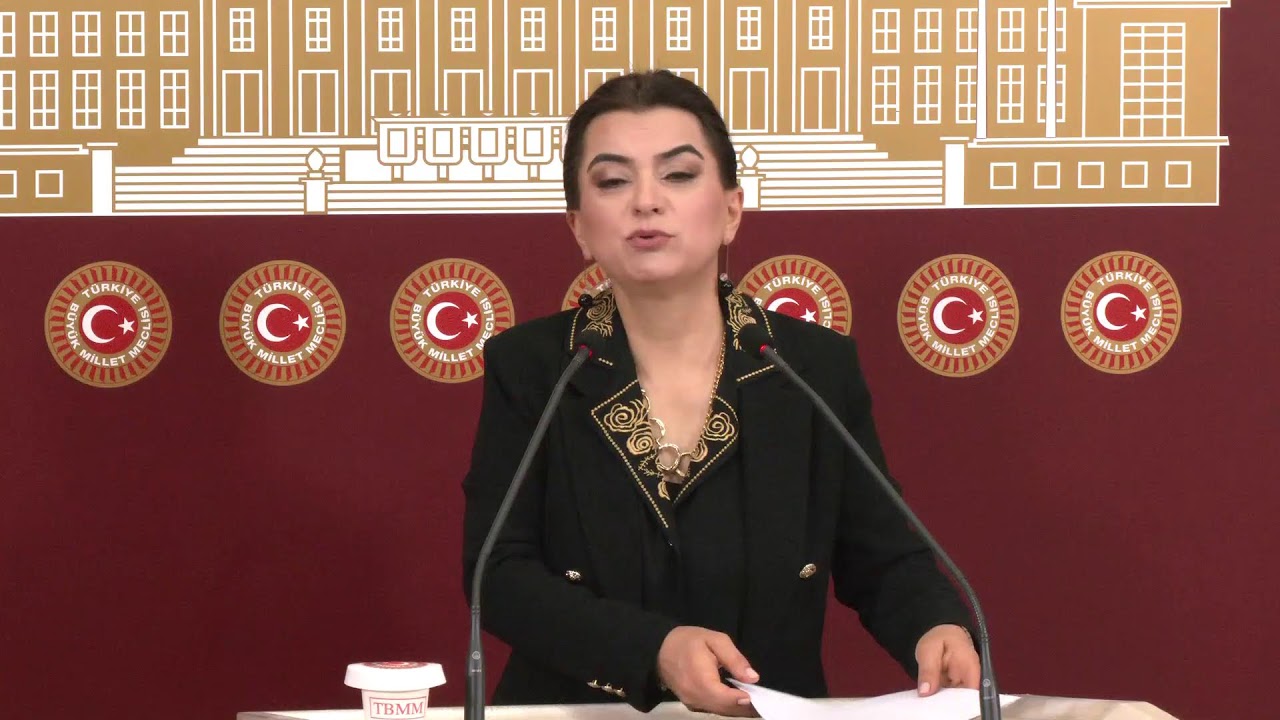 Grup Başkanvekilimiz Gülistan Kılıç Koçyiğit, Meclis’te açıklama yapıyor