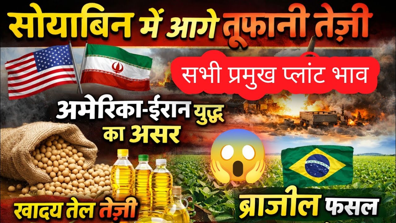 सोयाबिन मे आगे तूफानी तेज़ी जानिए संपूर्ण जानकारी, अंतर्राष्ट्रीय बाजारों मे तेज़ी, खाद्य तेल तेज़ 
