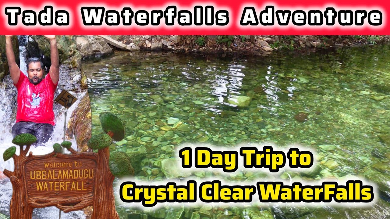 Exploring Tada Falls! 🌿 Nature, Fun & Thrill Combined | A Perfect Nature Getaway