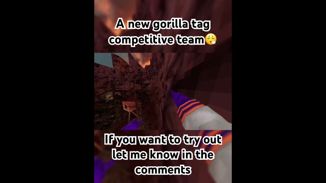 New competitive gtagteam #gorillatag #gtag #gorillatagquest #gorillatagcompetitive #gorillatagvr