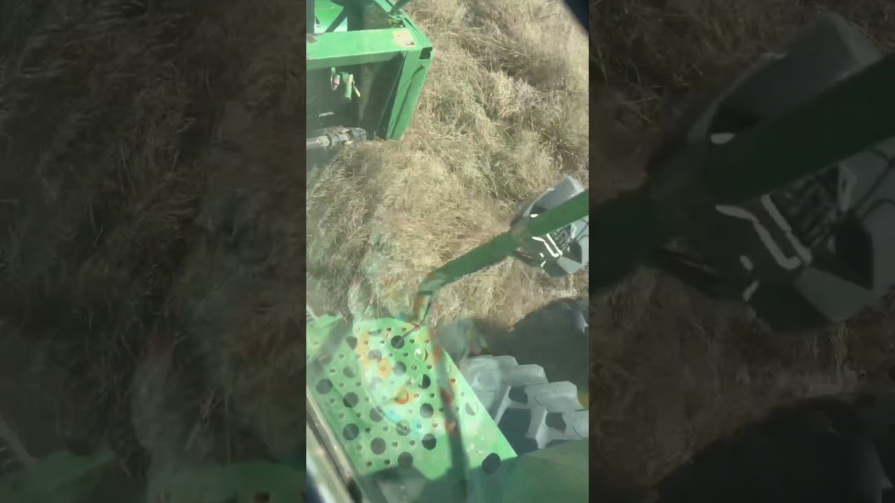 Windrow too big for baler.  Doing unthinkable things #dayinmylife #farming