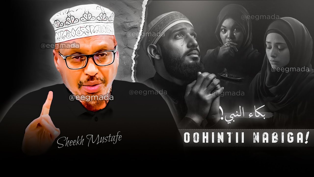 Oohintii Nabiga SCW 😭 Qisooyin ka oohin doona☝️😢 Sheekh Mustafe | Qisooyin Cajiib Ah @eegmada