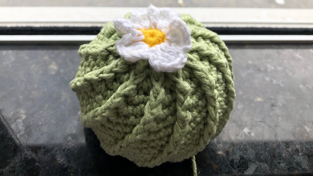 Cacto Amigurumi / Crochê